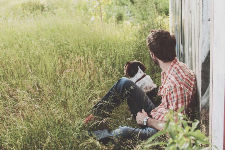 headspace vs calm